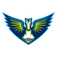 Dallas Wings